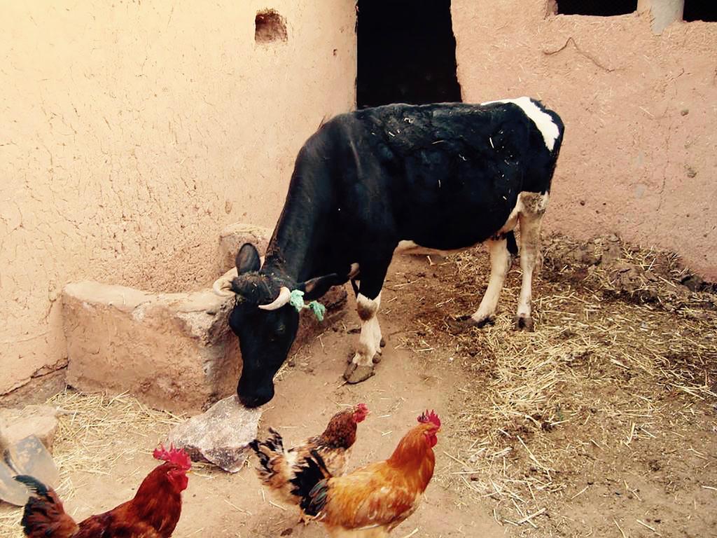 Dar Mouna Aït Benhaddou Eksteriør bilde